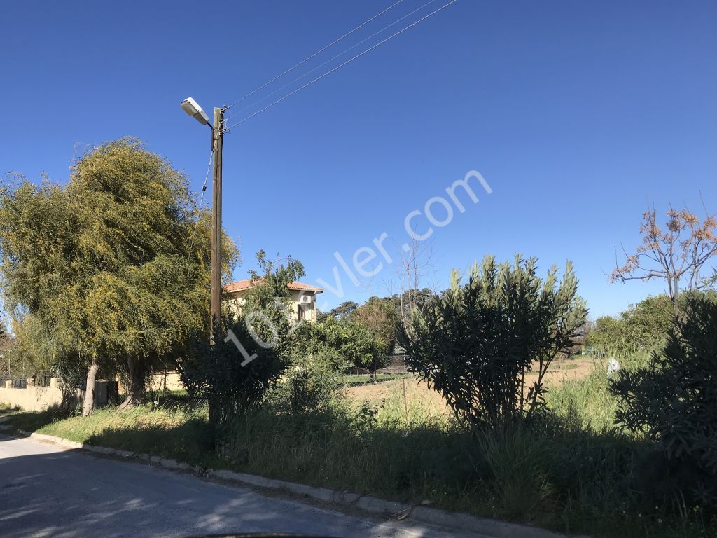 Girne Alsancak Maremonte yolu üzeri 3+1 