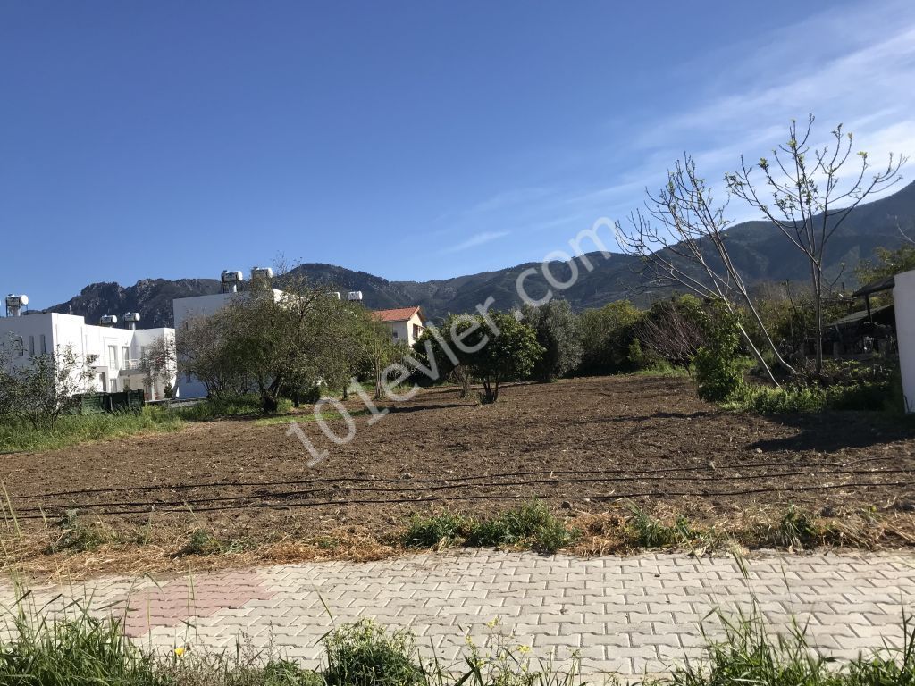 Villa For Sale in Alsancak, Kyrenia