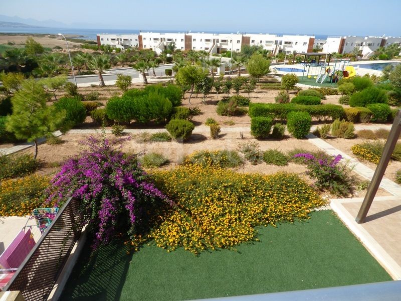 TWO BEDROOM PENTHOUSE APARTMENT OVERLOOKING THE POOL AND OCEAN