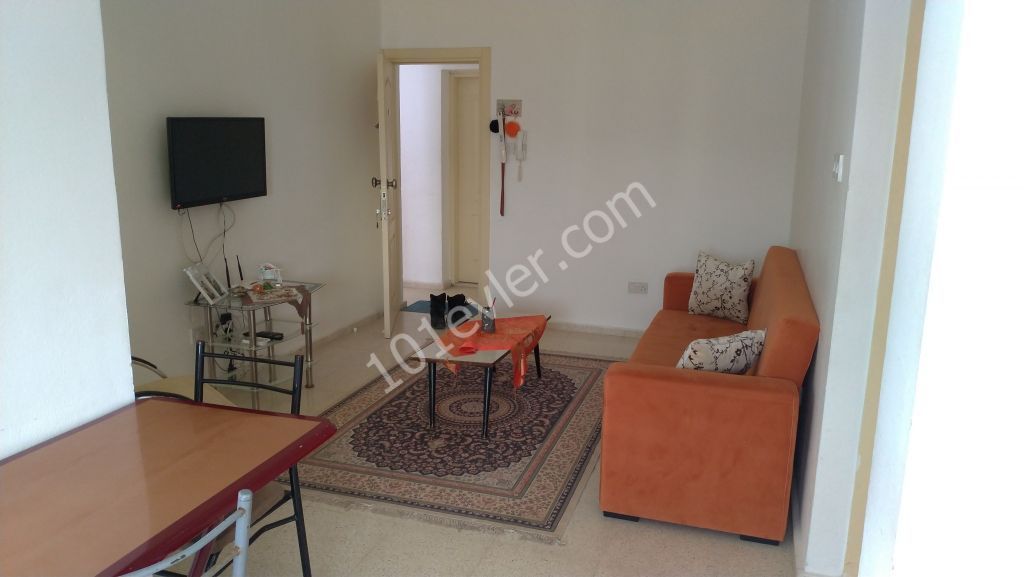 LUX 2+1 APARTMENTS 1600 TL