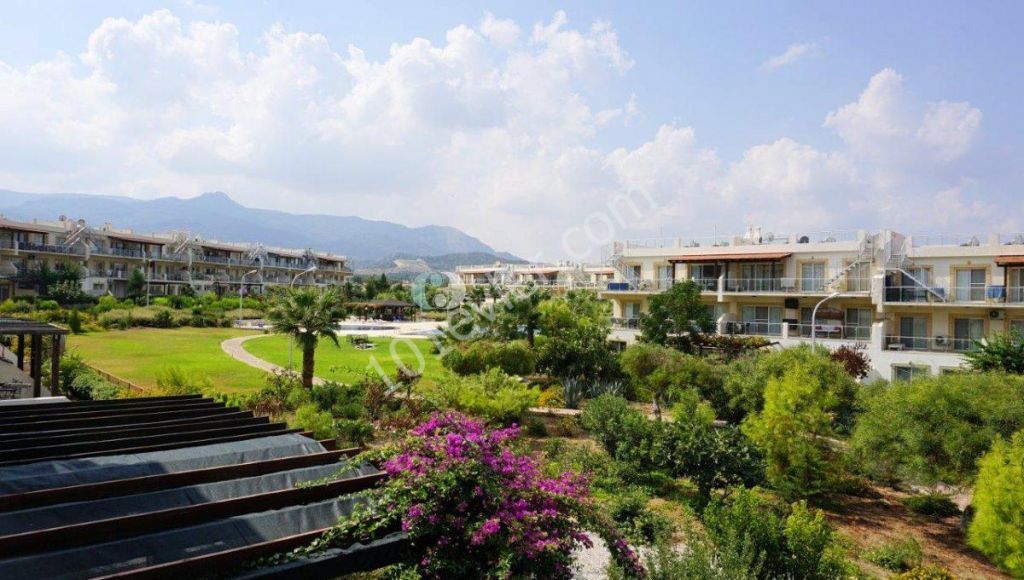 2 Bedroom Apartment Resale * Ready to Move in * Seafront Resort