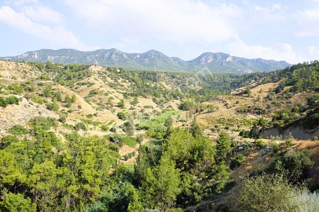 Villa Kaufen in Esentepe, Kyrenia