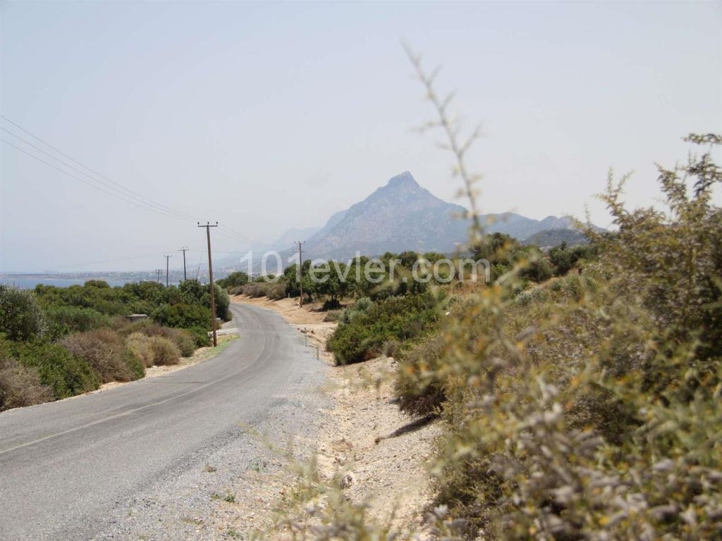 1 Donum Building Plot, Kayala