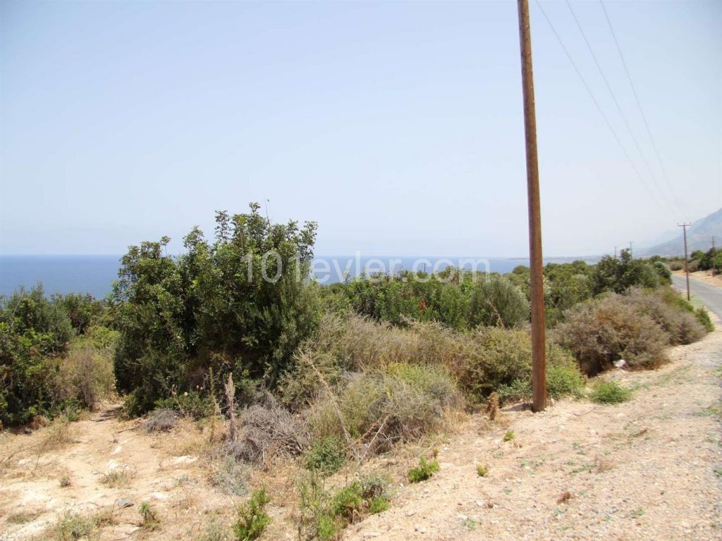 1 Donum Building Plot, Kayala