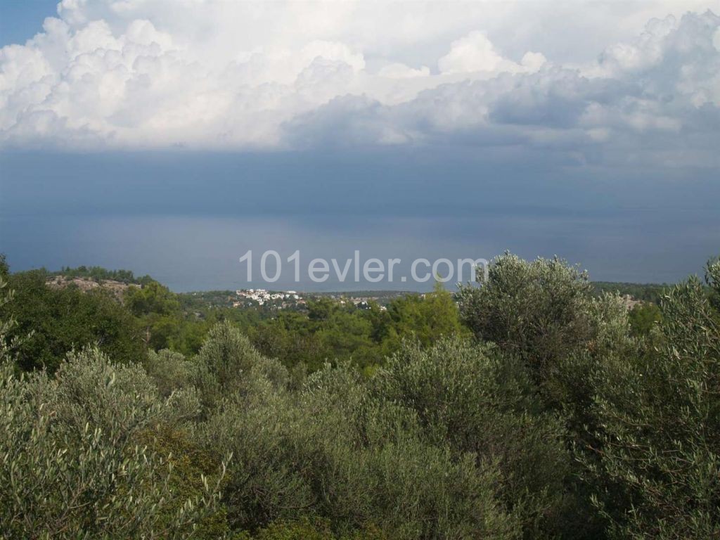 منطقه مسکونی برای فروش in Karaağaç, گیرنه