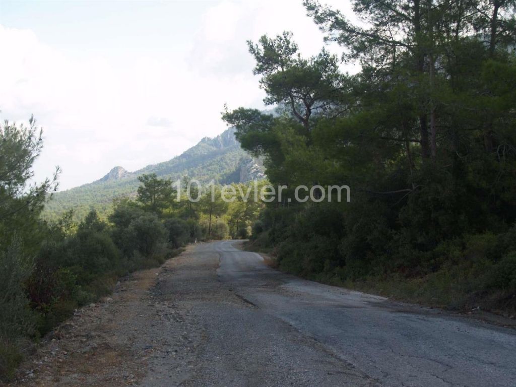 منطقه مسکونی برای فروش in Karaağaç, گیرنه