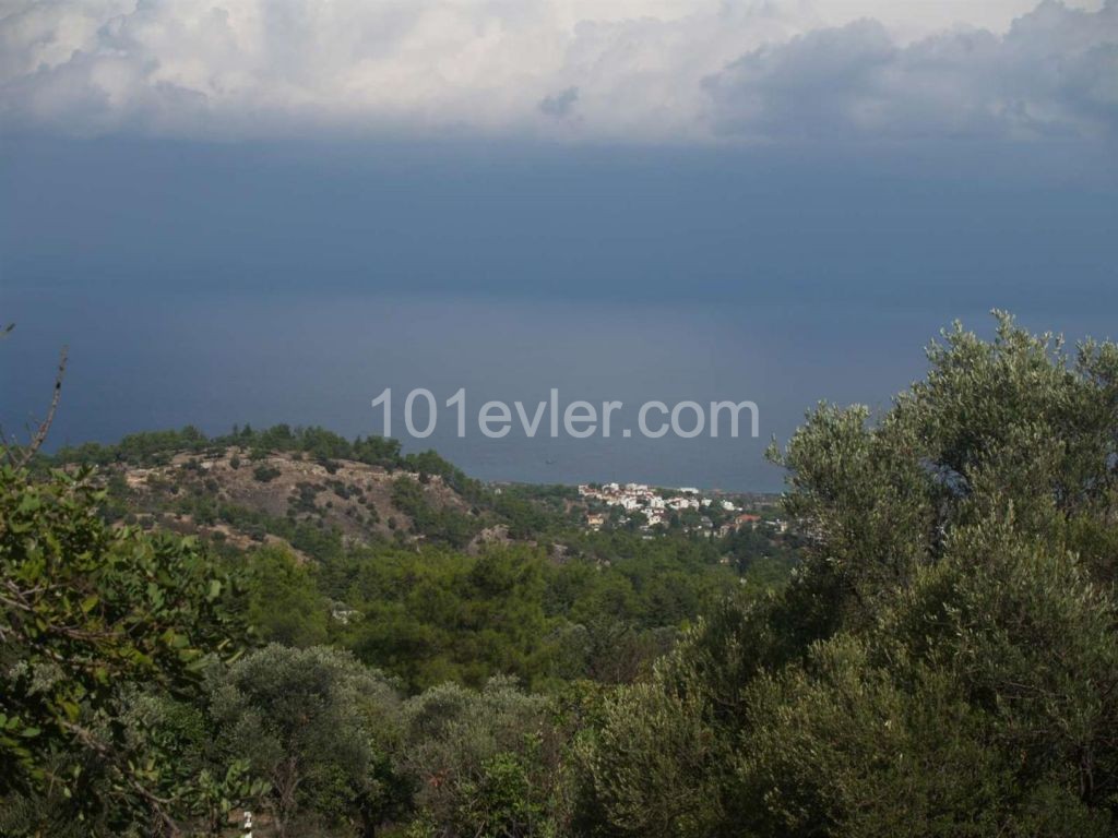 منطقه مسکونی برای فروش in Karaağaç, گیرنه