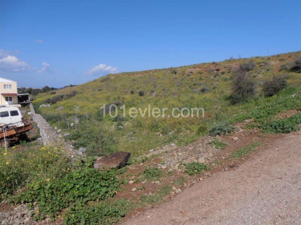 منطقه مسکونی برای فروش in Güzelyurt Merkez, گوزلیورت