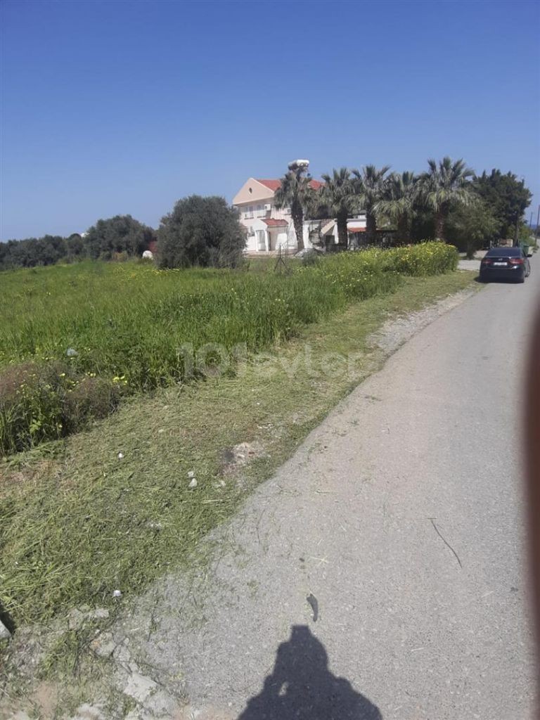 Wohngebiet Kaufen in Lapta, Kyrenia