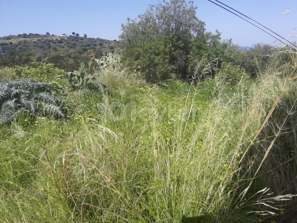 Wohngebiet Kaufen in Edremit, Kyrenia