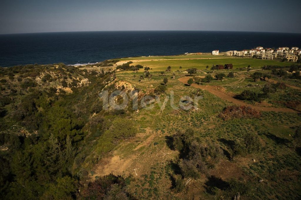 Rural Splendid Views Homes