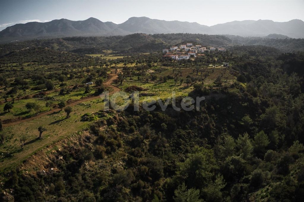 Villa Kaufen in Esentepe, Kyrenia