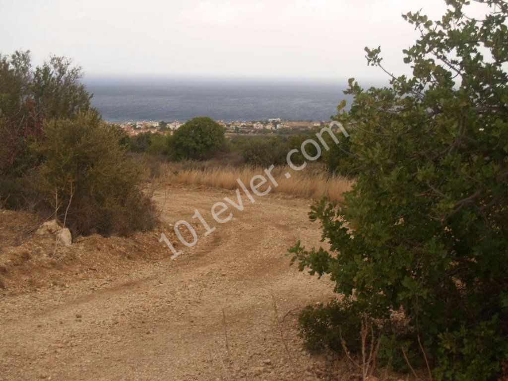 رشته برای فروش in Bahçeli, گیرنه