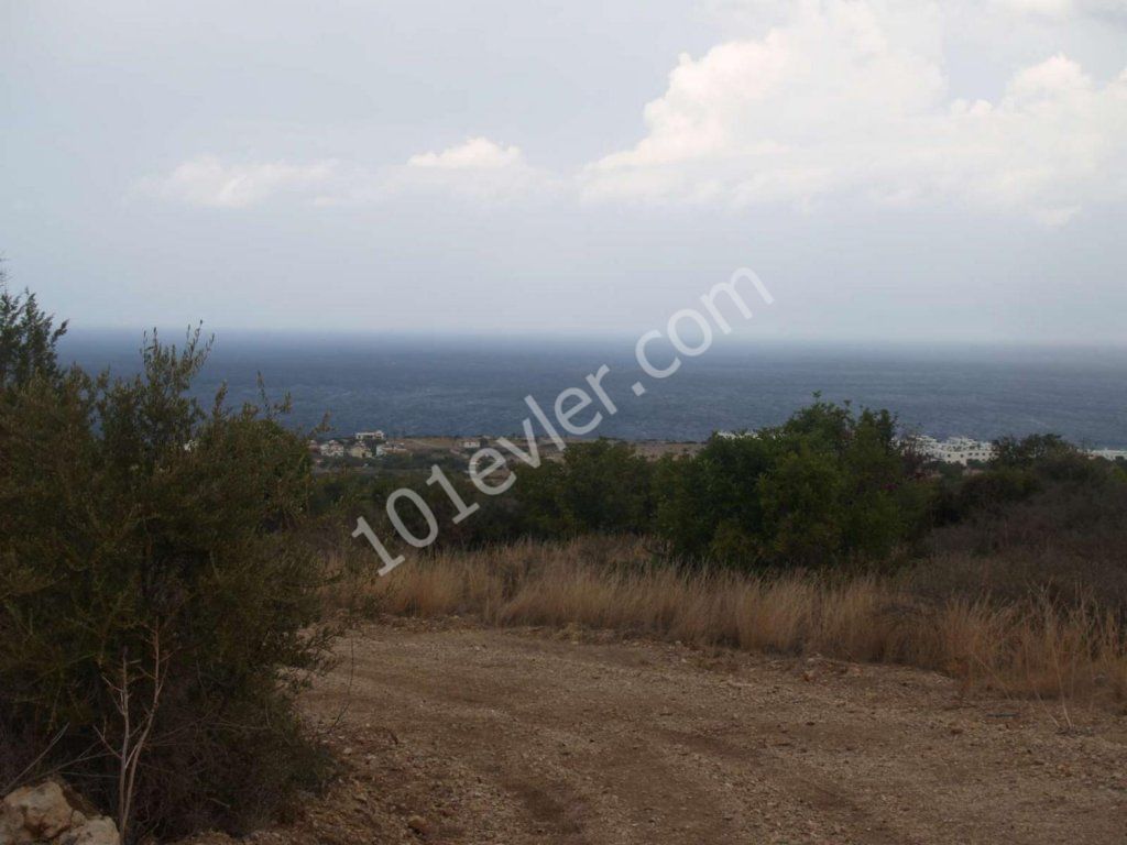 رشته برای فروش in Bahçeli, گیرنه