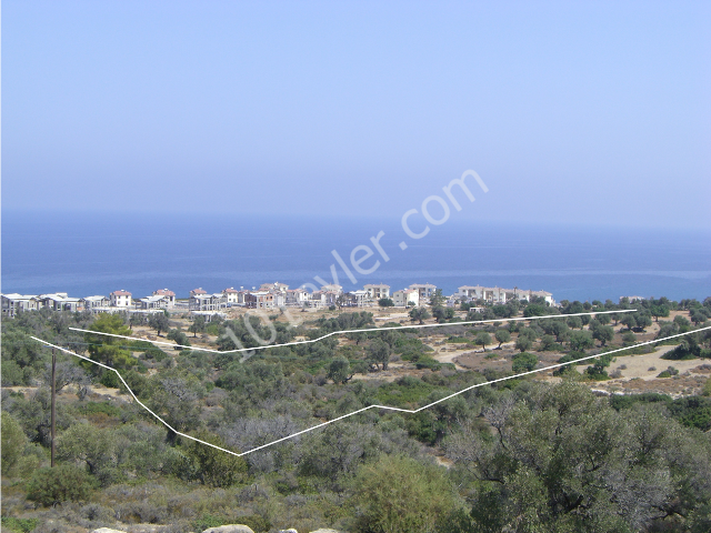 رشته برای فروش in Esentepe, گیرنه