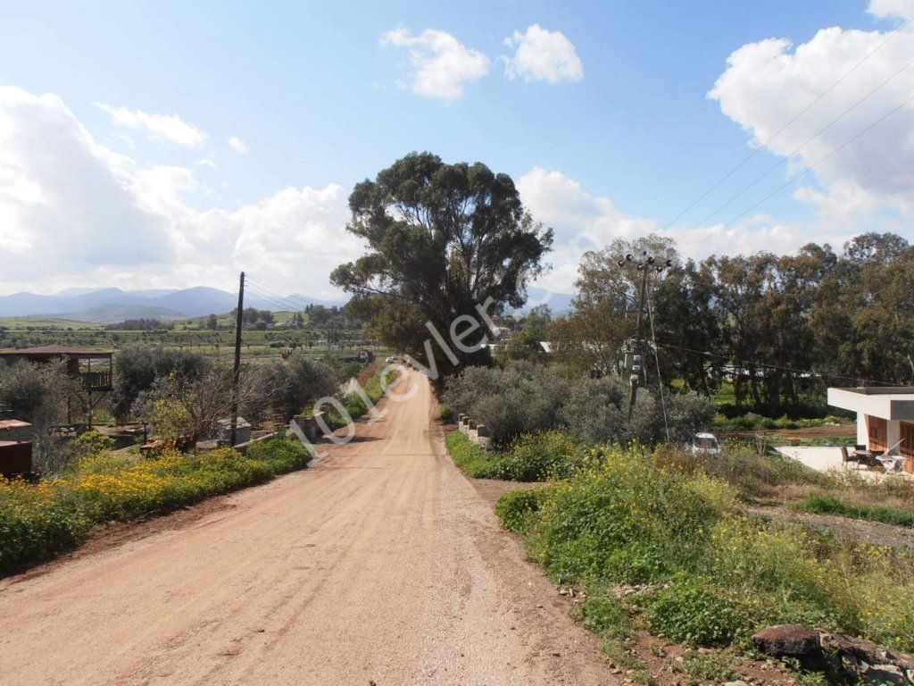 Поле Продается in Lefke, Лефке