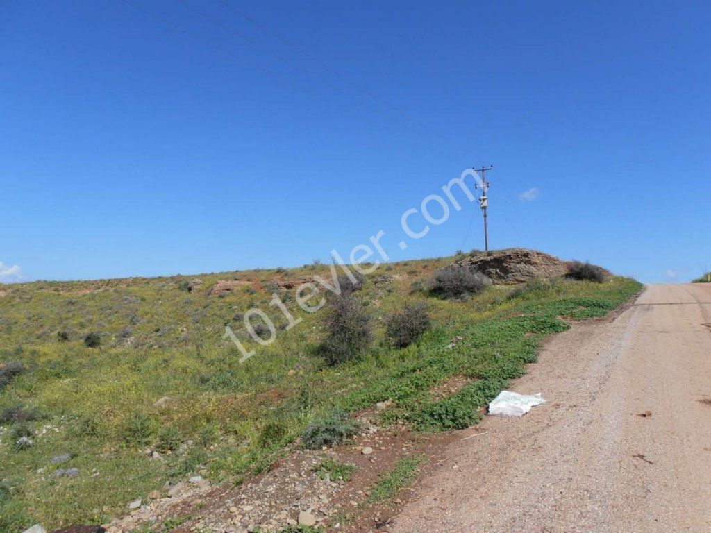 رشته برای فروش in Lefke, لفکه