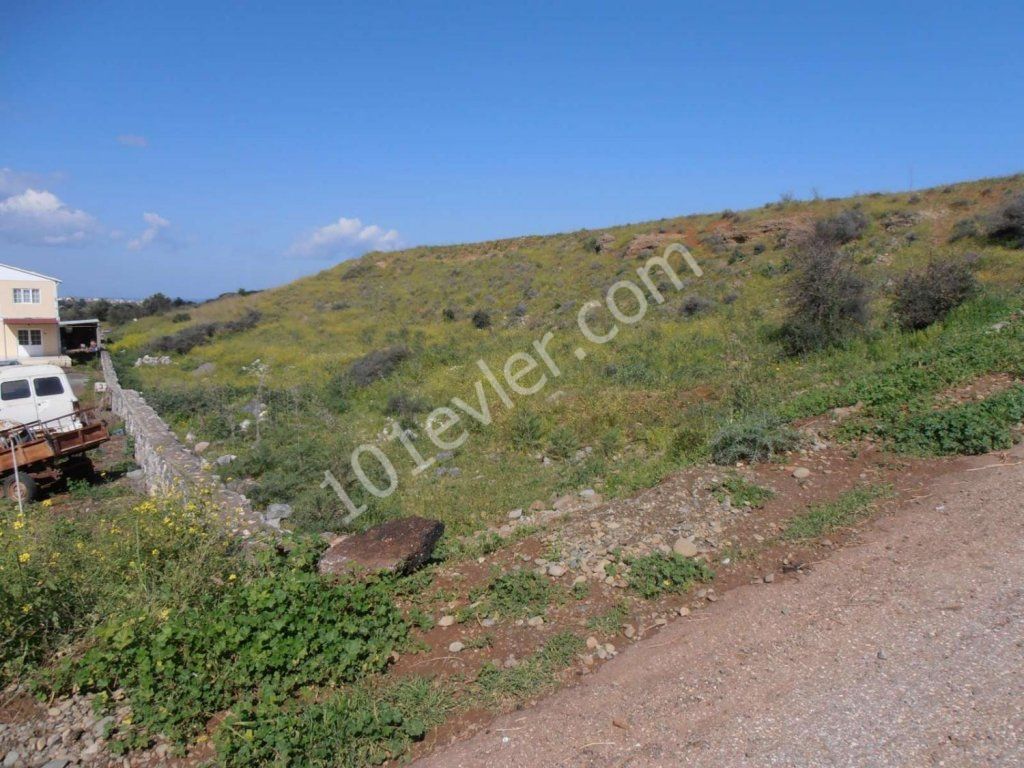 رشته برای فروش in Lefke, لفکه