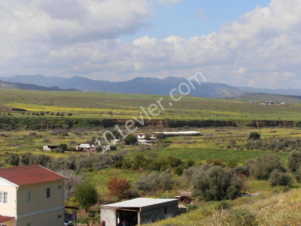 Поле Продается in Lefke, Лефке