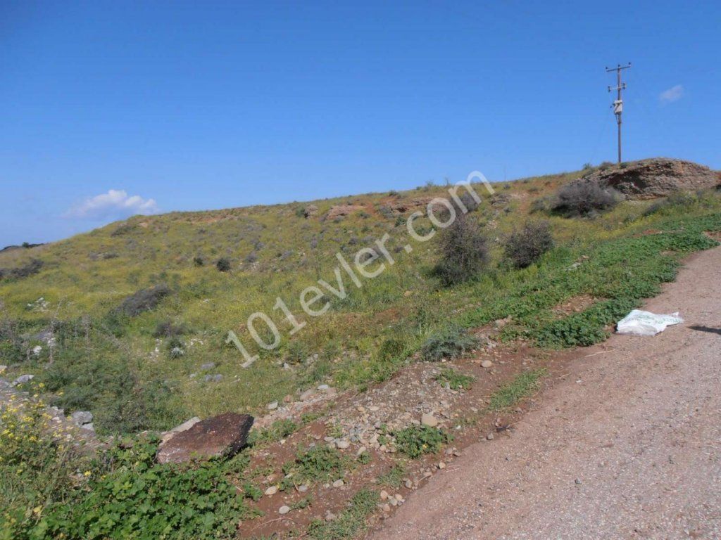 رشته برای فروش in Lefke, لفکه