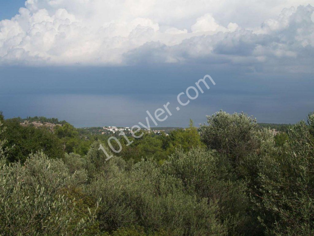 منطقه مسکونی برای فروش in Karaağaç, گیرنه