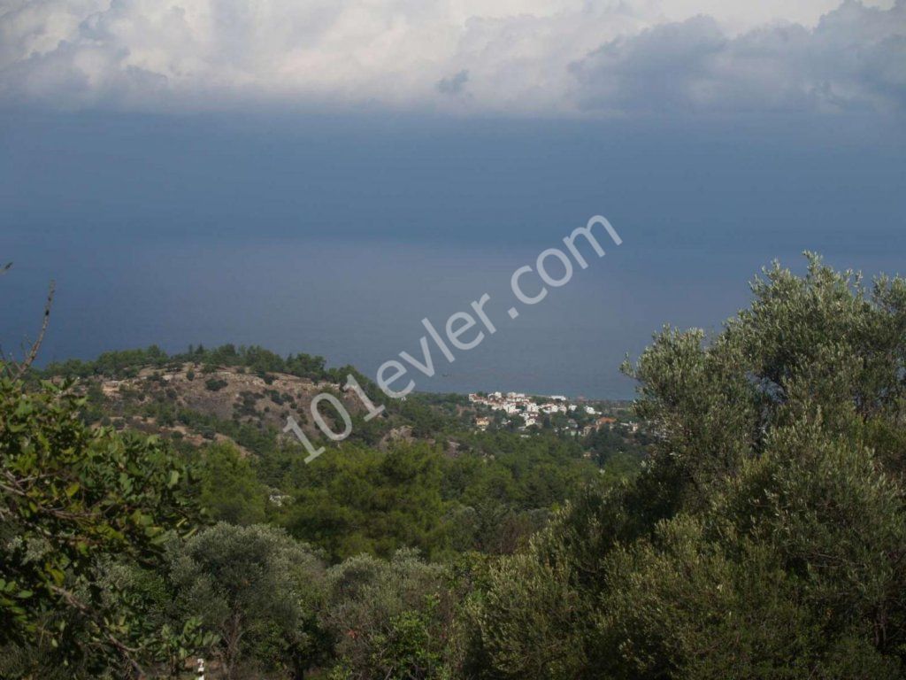 Wohngebiet Kaufen in Karaağaç, Kyrenia