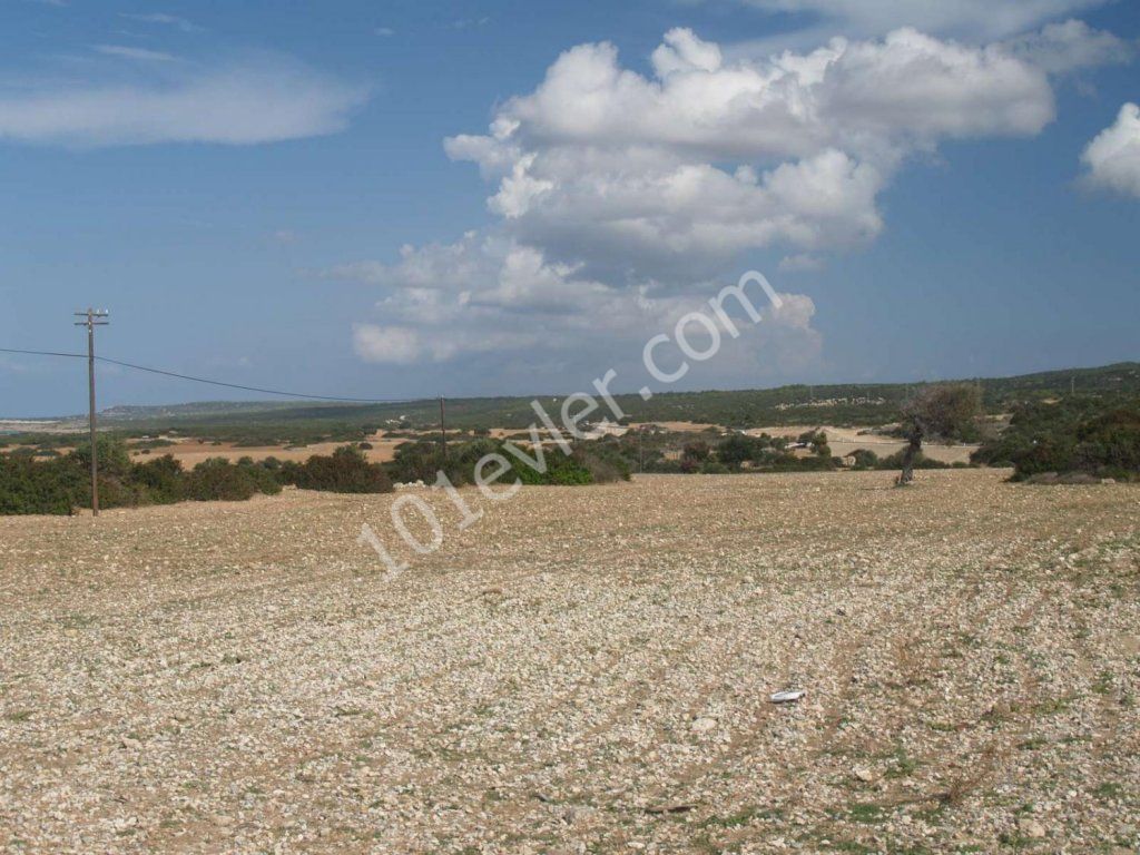 Feld Kaufen in Kaplıca, Iskele