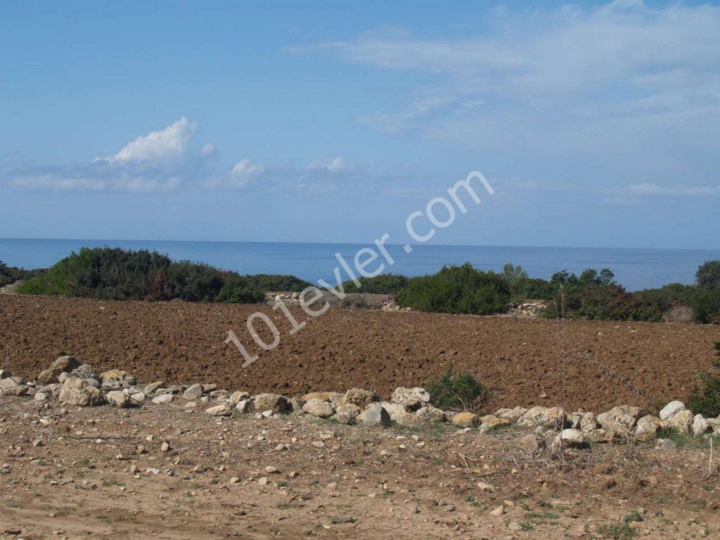 Feld Kaufen in Kaplıca, Iskele