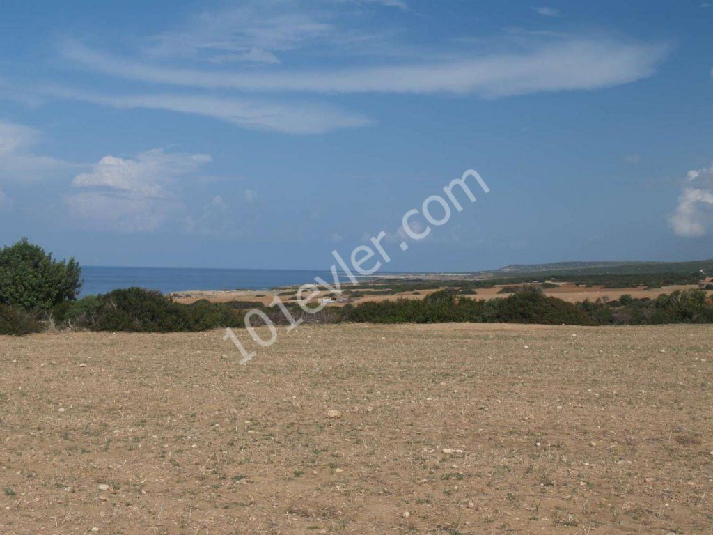 Feld Kaufen in Kaplıca, Iskele