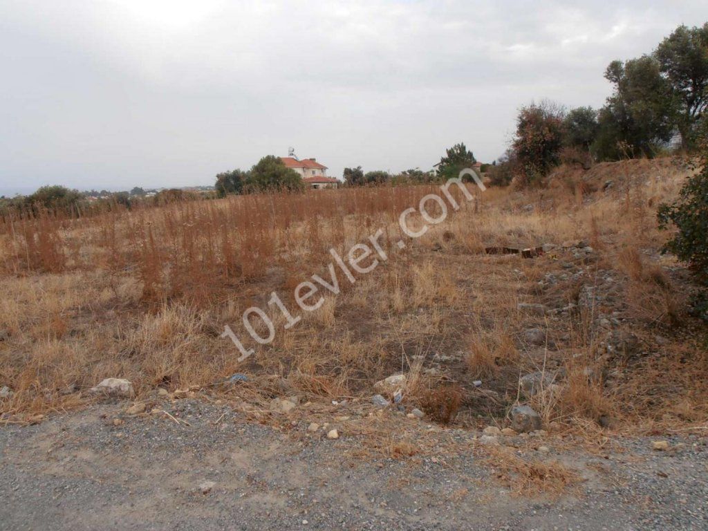 Feld Kaufen in Lapta, Kyrenia