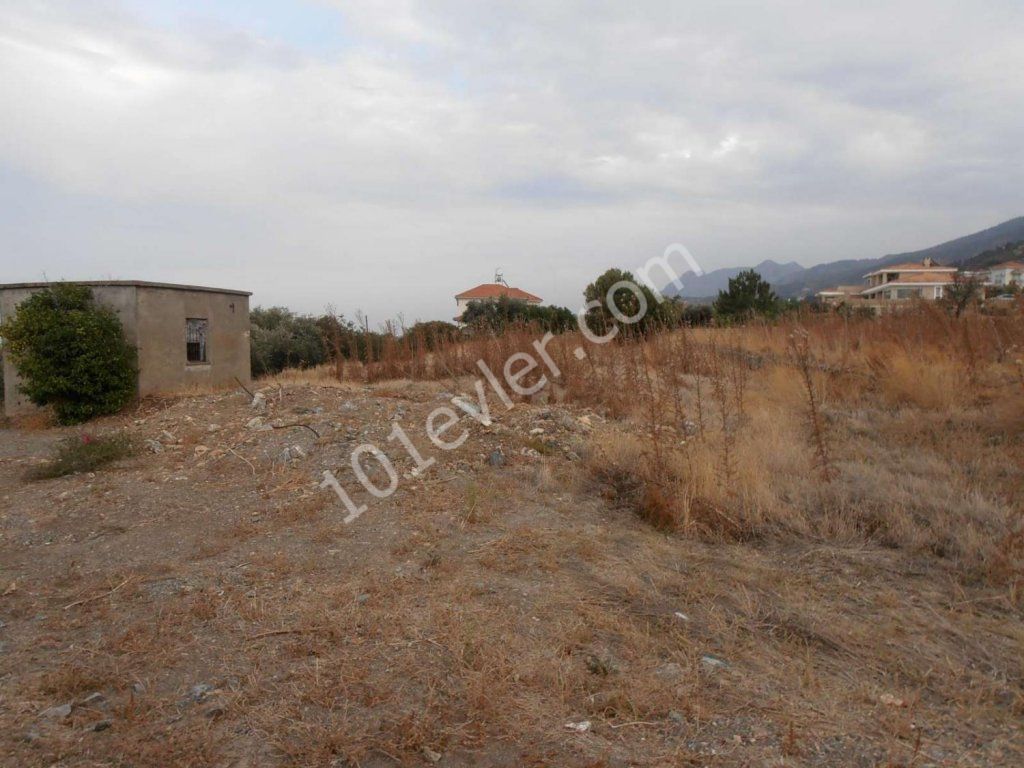 Feld Kaufen in Lapta, Kyrenia