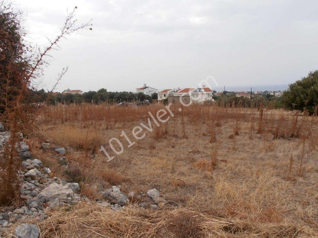 Feld Kaufen in Lapta, Kyrenia