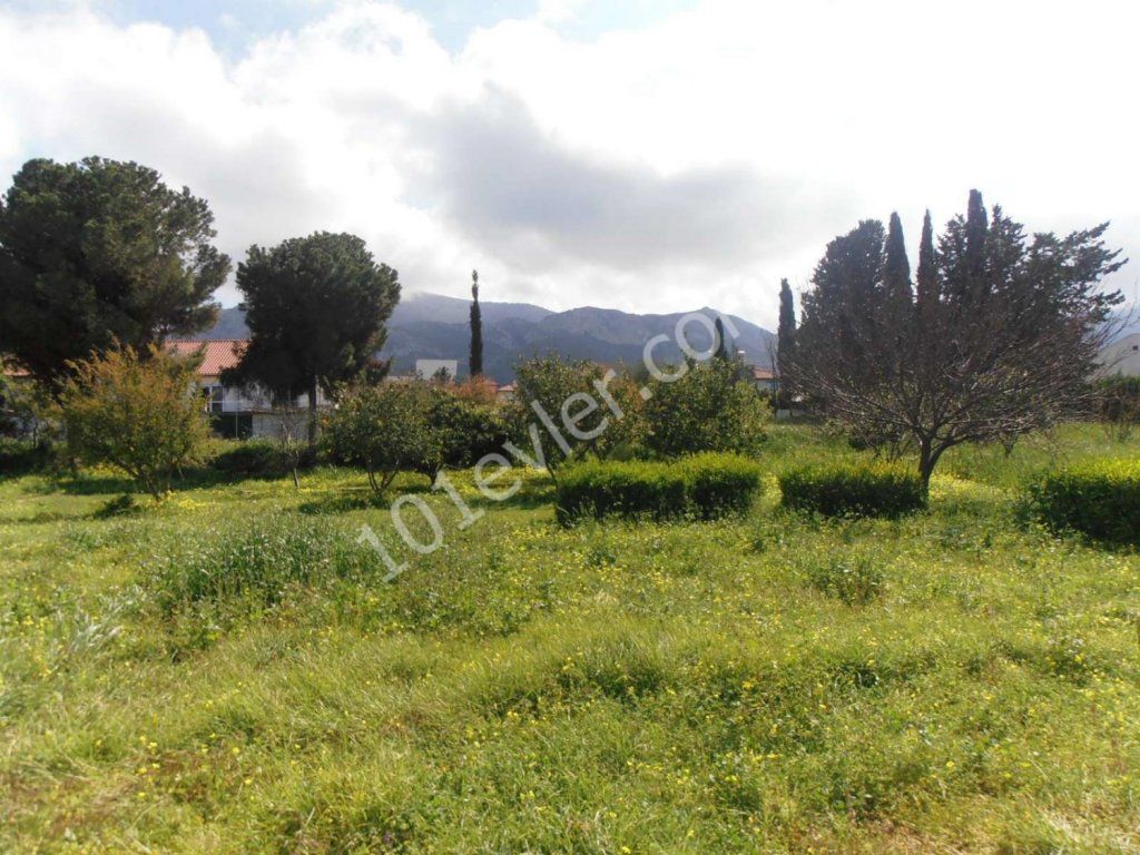 4 Donum plot -  4 + 1 300 m2  villa for sale