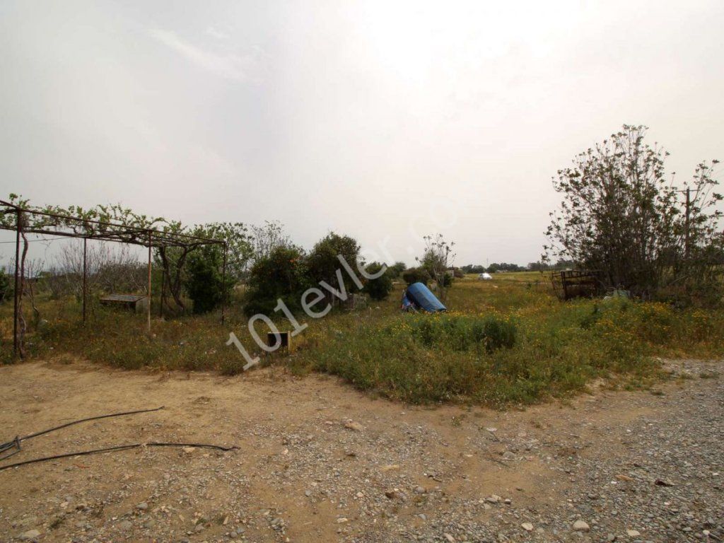 منطقه مسکونی برای فروش in Güzelyurt Merkez, گوزلیورت