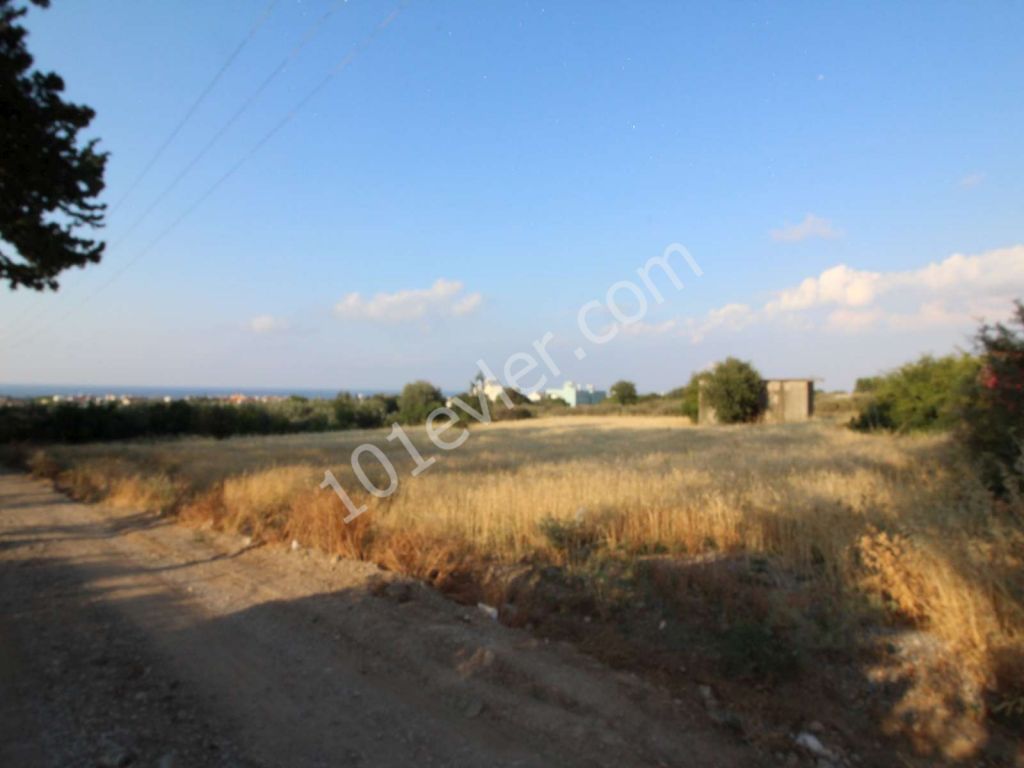 Feld Kaufen in Lapta, Kyrenia