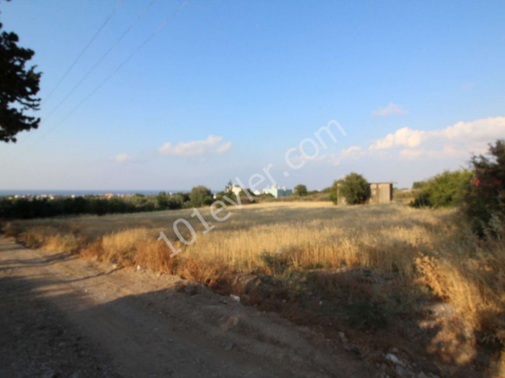 Feld Kaufen in Lapta, Kyrenia