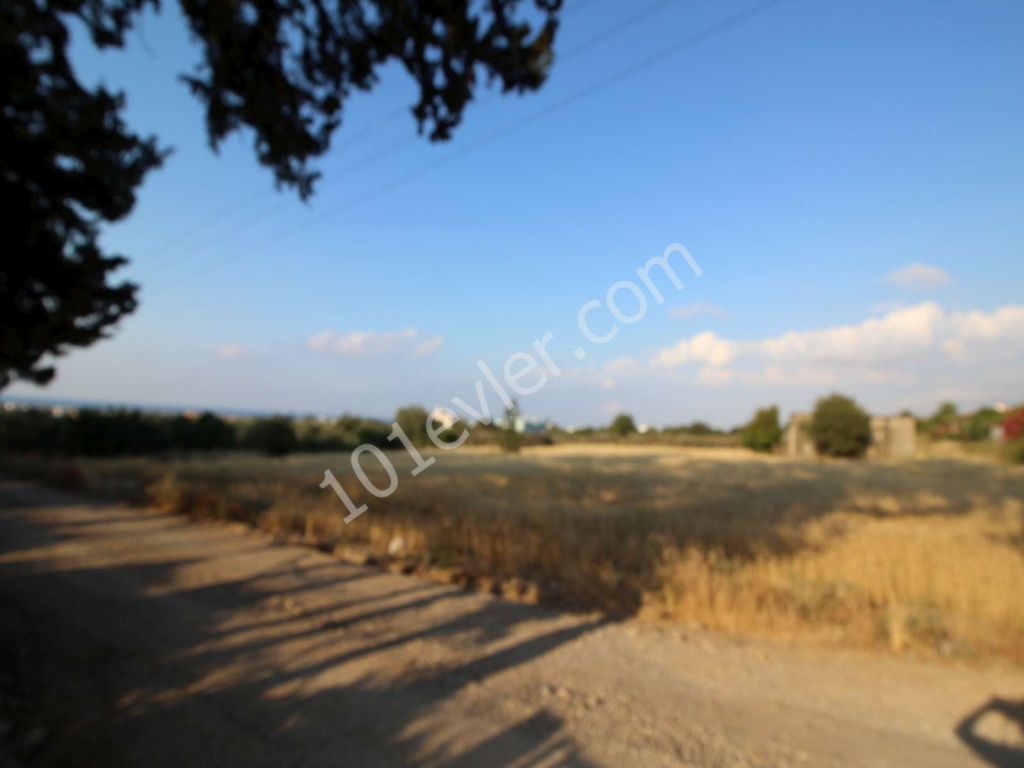 LAND FOR SALE IN LAPTA