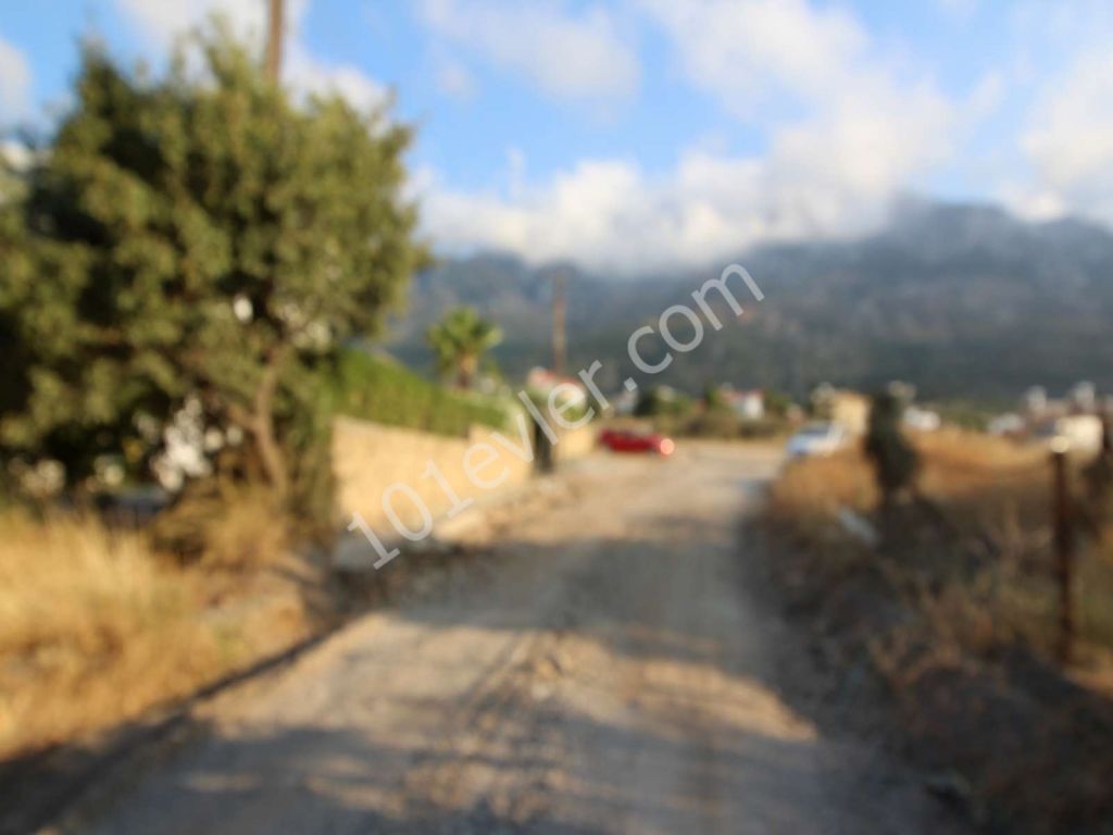 LAND FOR SALE IN LAPTA