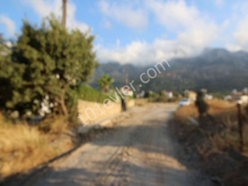 LAND FOR SALE IN LAPTA