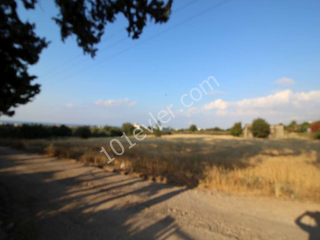 LAND FOR SALE IN LAPTA