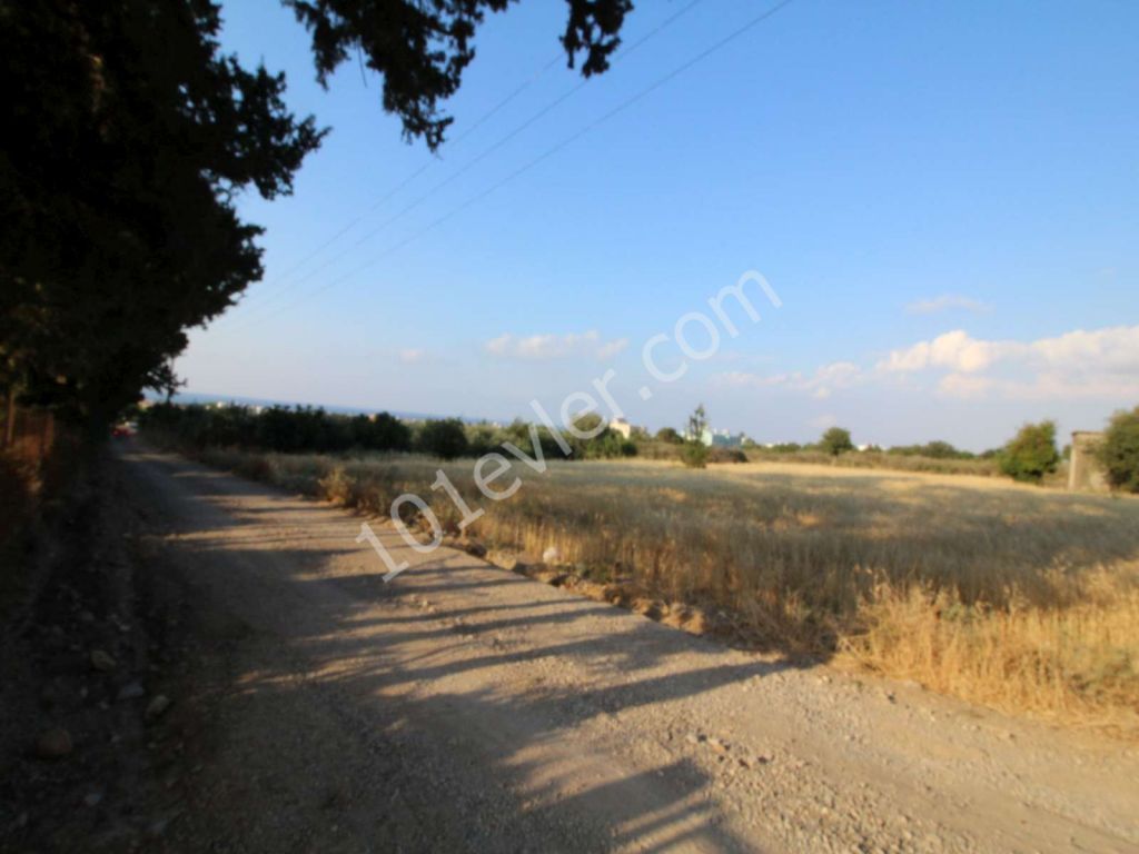 Feld Kaufen in Lapta, Kyrenia