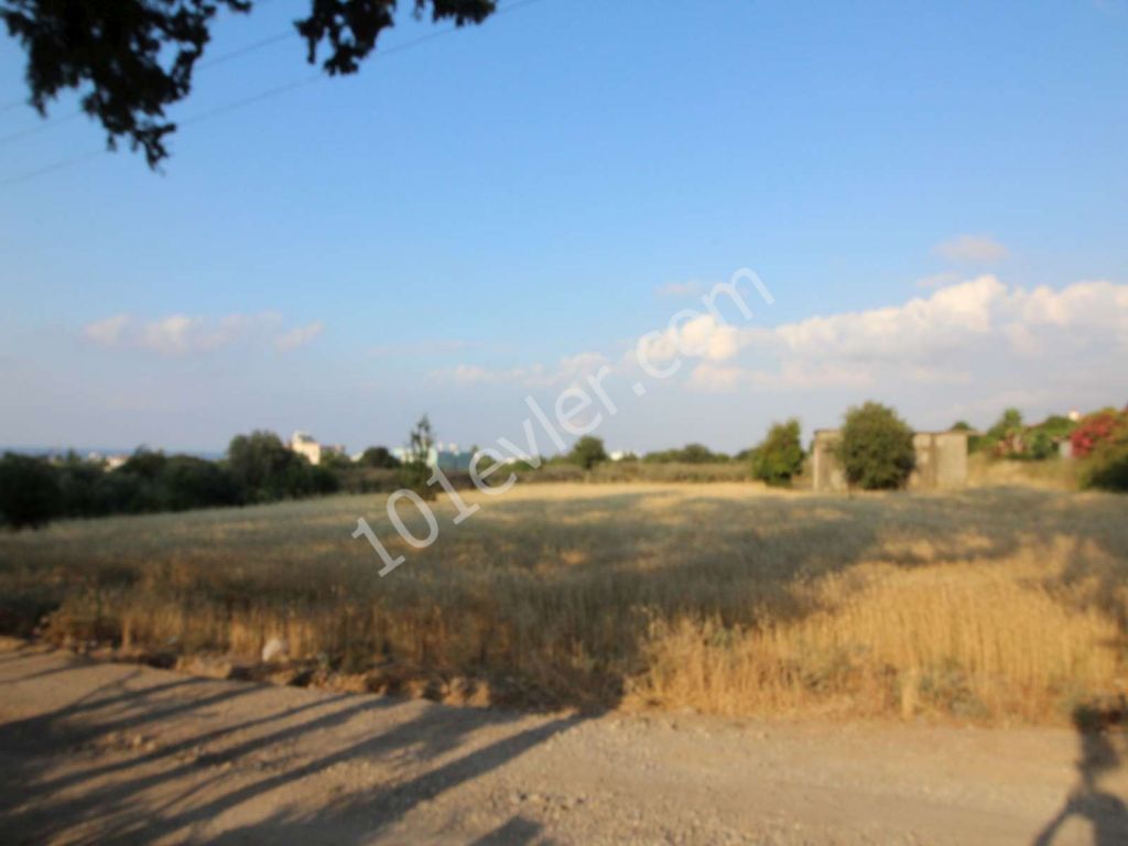 LAND FOR SALE IN LAPTA