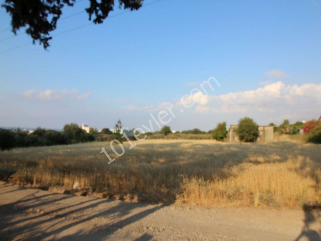 LAND FOR SALE IN LAPTA