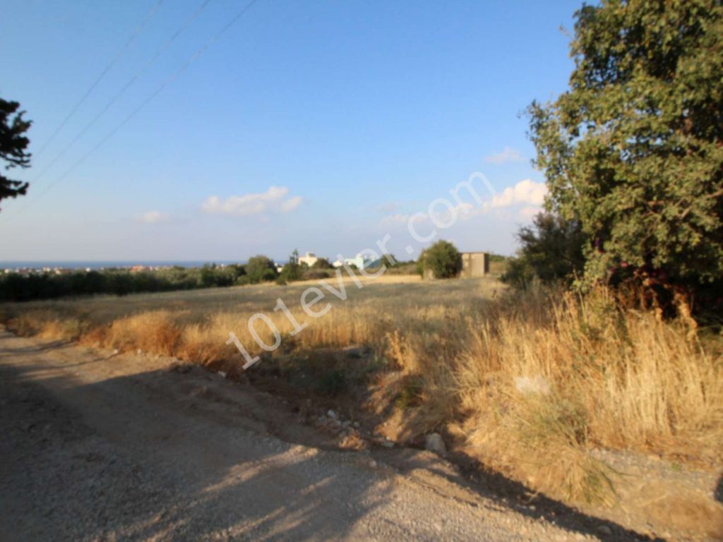 Feld Kaufen in Lapta, Kyrenia