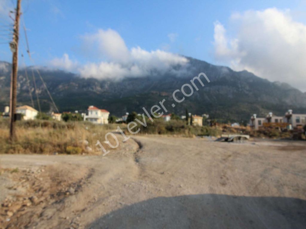 Feld Kaufen in Lapta, Kyrenia