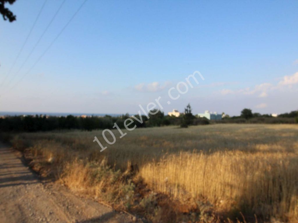 LAND FOR SALE IN LAPTA