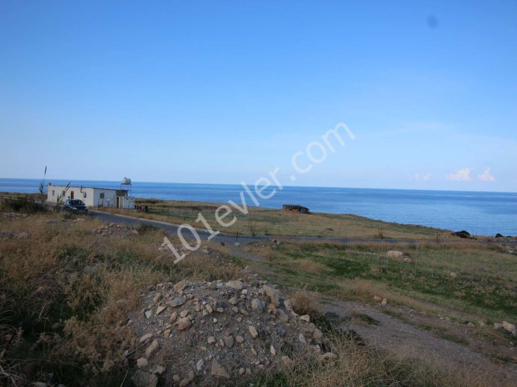 8 DONUM 100 METERS FROM THE SEA ESENTEPE