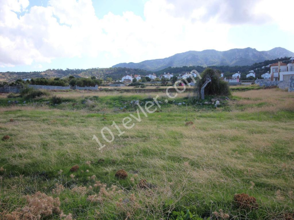 Feld Kaufen in Esentepe, Kyrenia