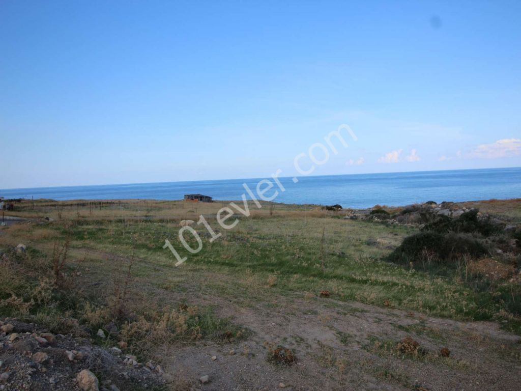 8 DONUM 100 METERS FROM THE SEA ESENTEPE