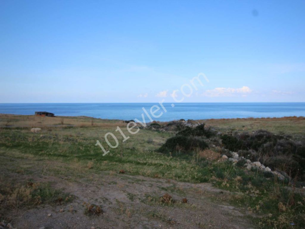 8 DONUM 100 METERS FROM THE SEA ESENTEPE